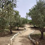 Stazzu Barecca *